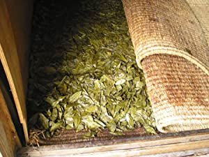 #0600.K4 Goishicha from the Otoyo Town Goishicha Producer's Association 大豊町碁石茶協同組合 『本場の本物』碁石茶 - Image 8