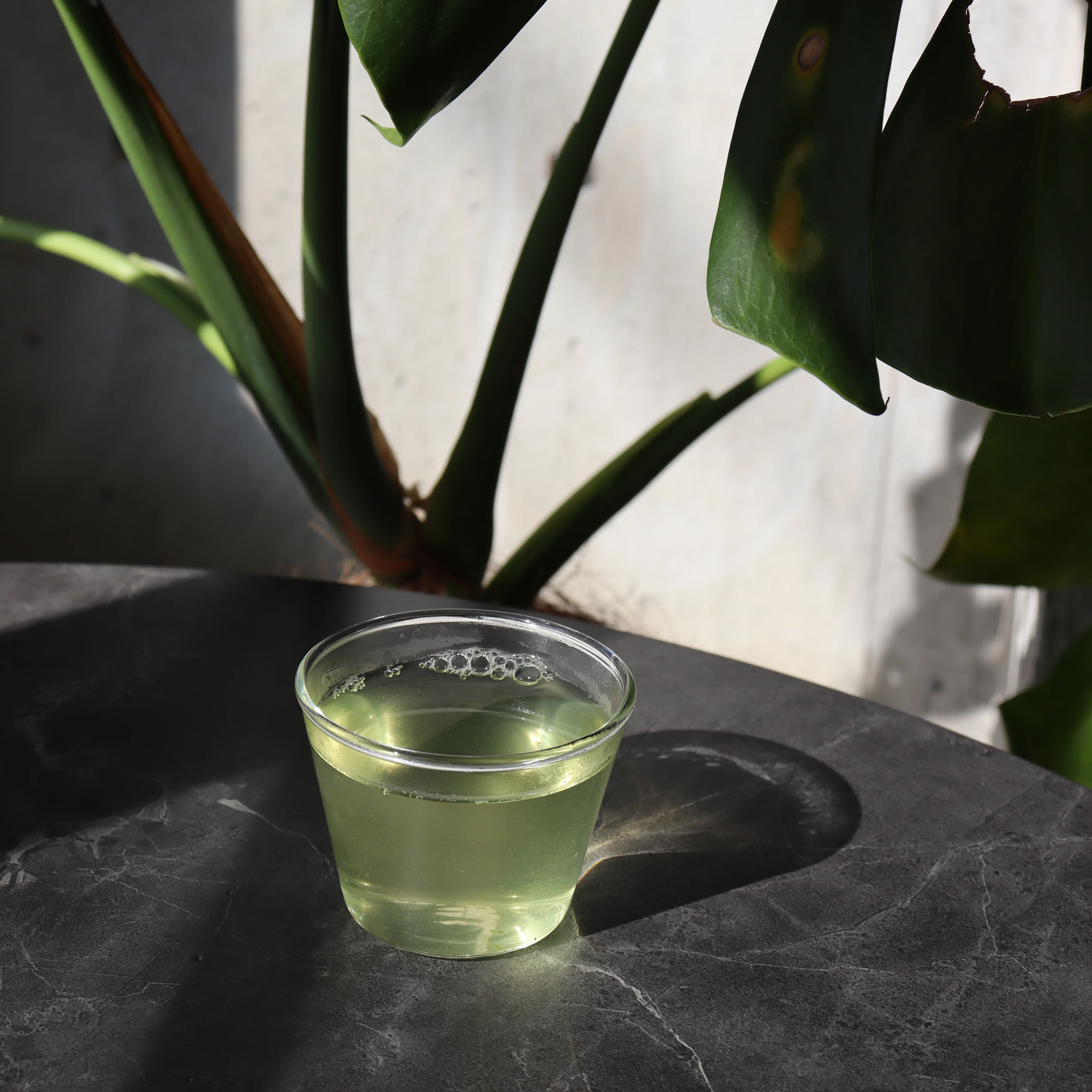( While stocks last ) #0310.K2 Hachimanjyu: Naturally Grown "Hisoka", Spring First Flush April Harvested Green Tea (Yutaka Midori, JAS certified organic) - Image 3