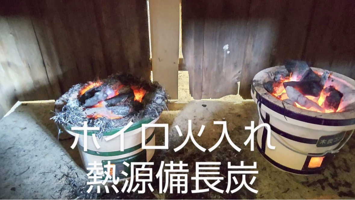 #0398.S5 Kanes Tea: Honzu No. 5 - Competition Grade Asamushi Sencha from Kawane, Shizuoka - Image 11