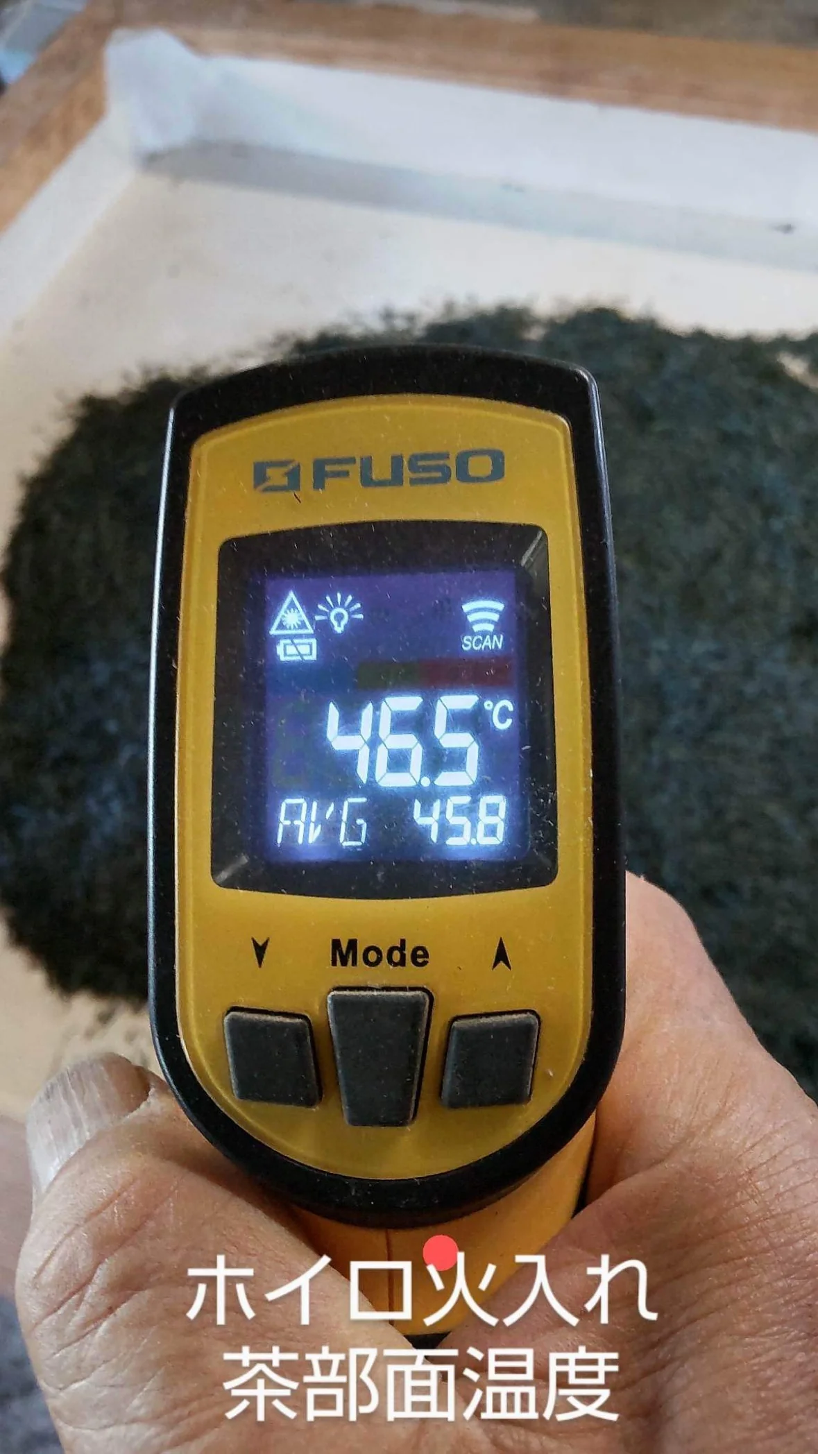 #0398.S5 Kanes Tea: Honzu No. 5 - Competition Grade Asamushi Sencha from Kawane, Shizuoka - Image 12