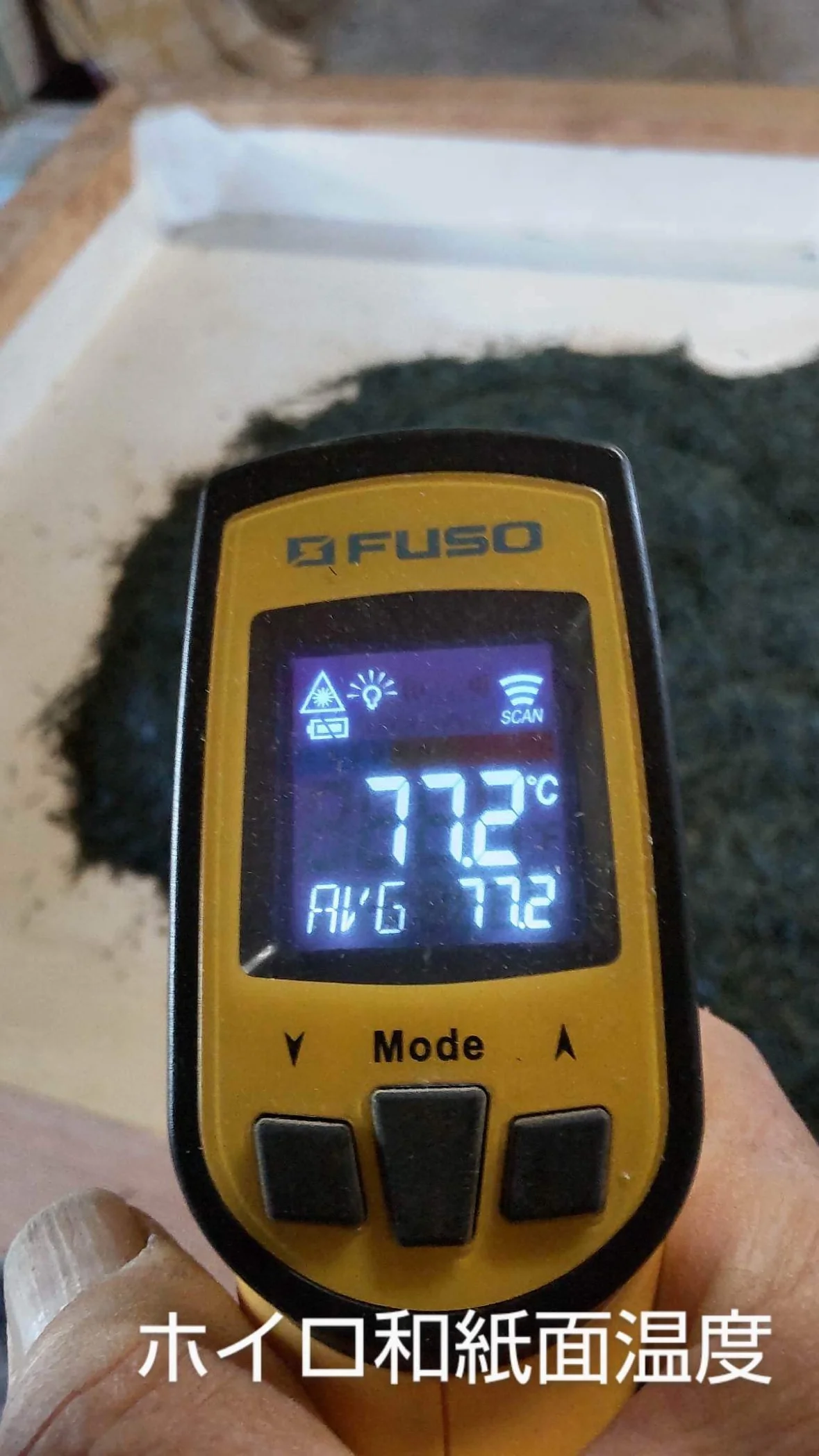 #0398.S5 Kanes Tea: Honzu No. 5 - Competition Grade Asamushi Sencha from Kawane, Shizuoka - Image 13