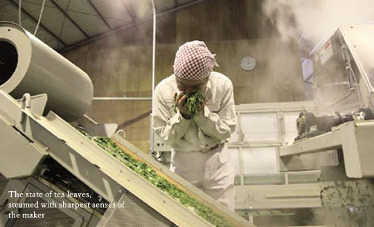 #0906.N2 Yunomi.Matcha: Kurumy - A Toasty, Modern Matcha from Matsuo Tea Garden, Nagasaki - Image 6