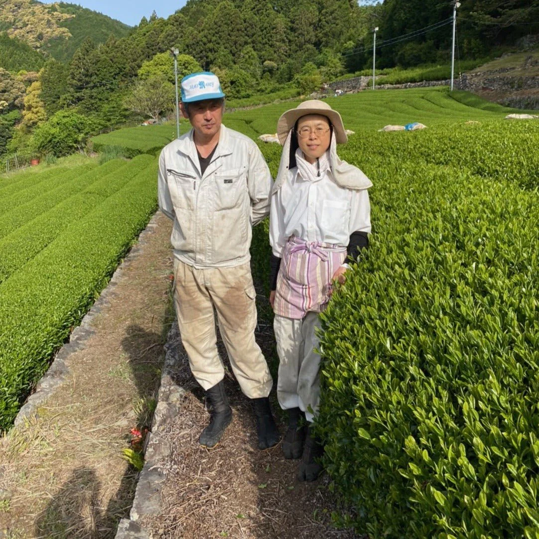 #0167.S5 Kiyosawa Tea Gardens: Shizuoka Spring Asamushi Sencha Blend by Farmer Sugiyama Yachiyo - Image 12