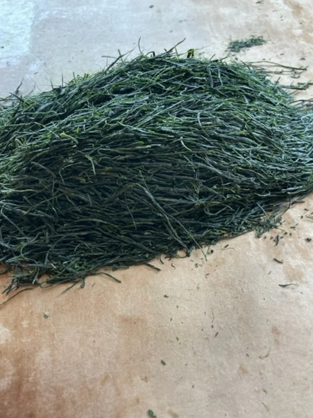 #0559.S2 Limited Edition Temomicha Shincha (Kirari 31 Single Cultivar) - Handrolled Tea by Award-Winning, 15th Generation Master, Okutomi Masahiro - Image 3