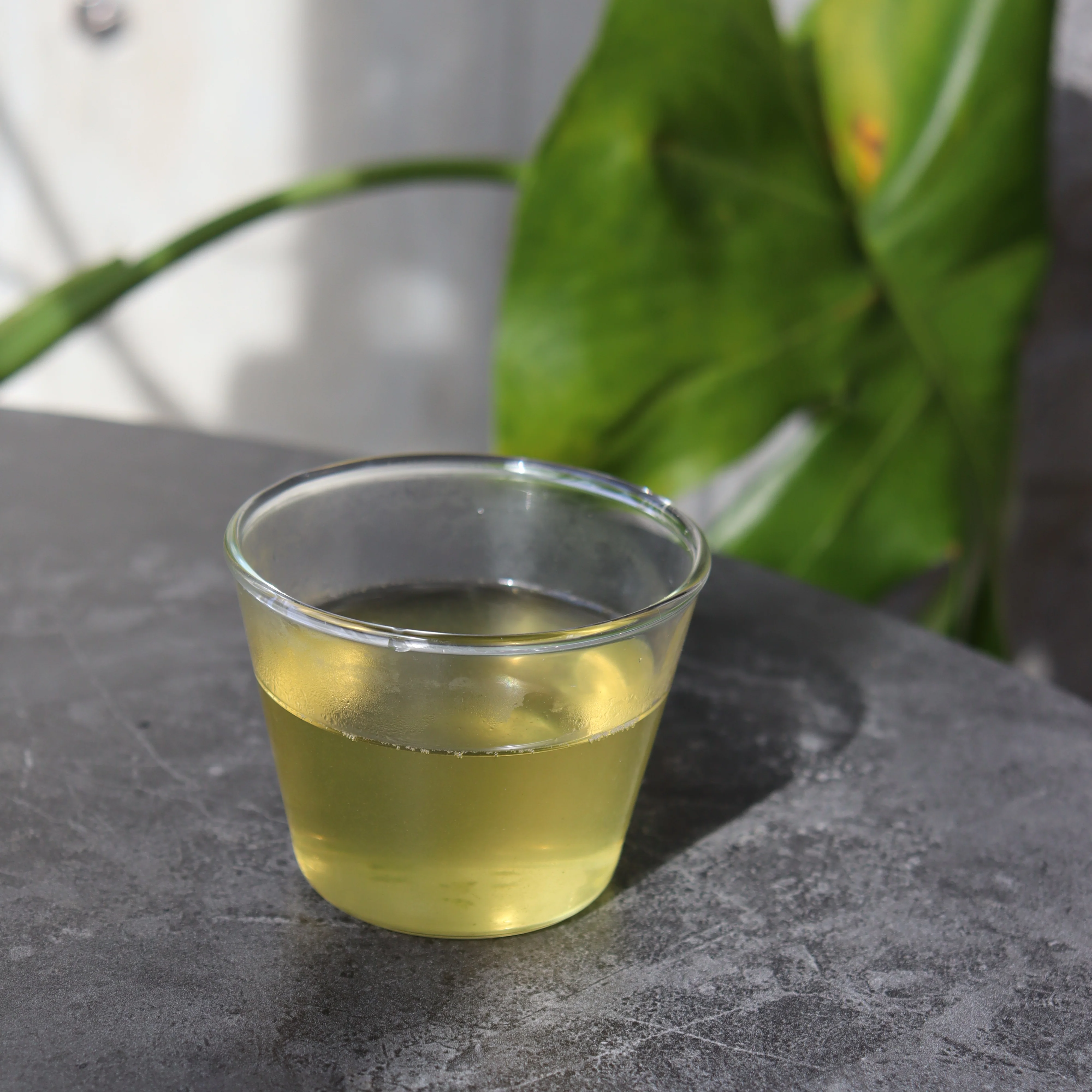 (while stock last) #0701.K6  Uejima Tea Farm: Single Cultivar Samidori Sencha (Superior) from Wazuka, Kyoto - Image 3